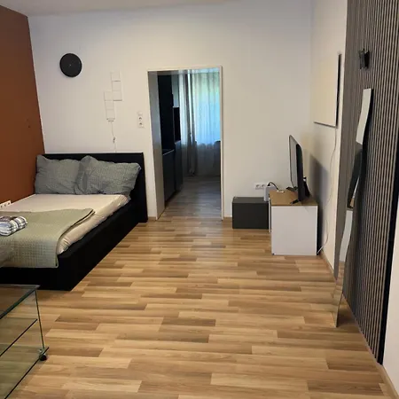 Wienerstrasse 格拉茨